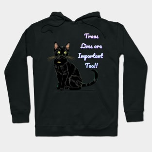 Batman says... Trans Lives Are Important Too! Hoodie